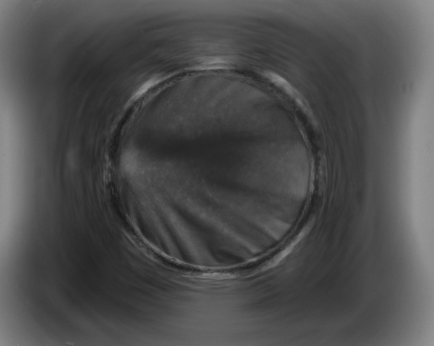 X0000085261449200703301822