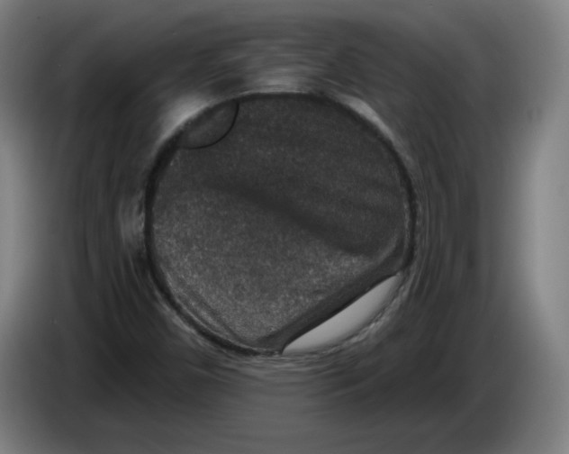 X0000085261450200703301822