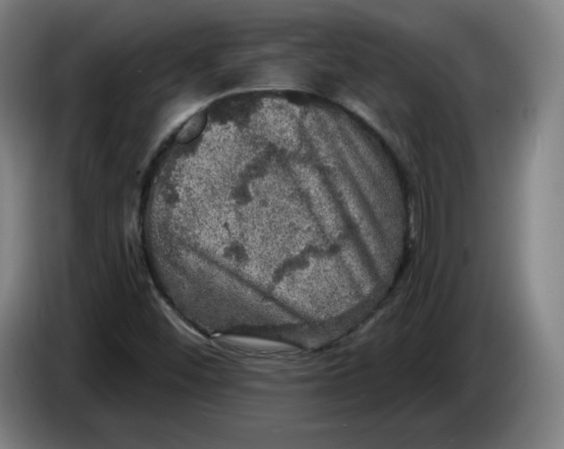 X0000085261452200703301822