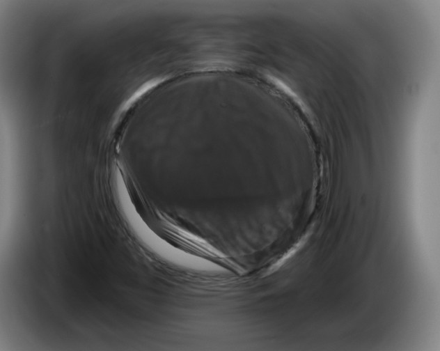 X0000085261453200703301822