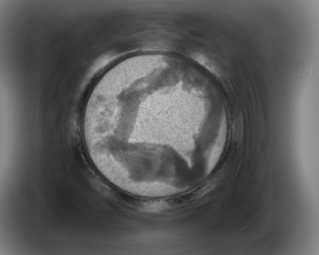 X0000085261454200703301822