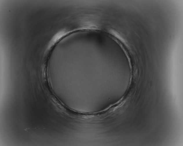 X0000085261455200703301822