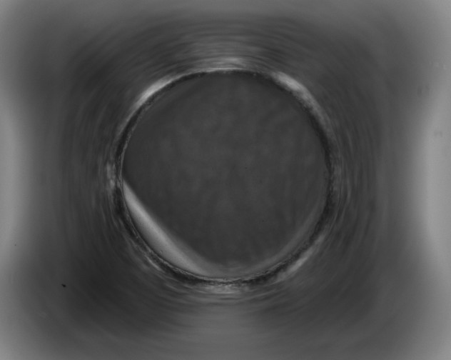 X0000085261457200703301822