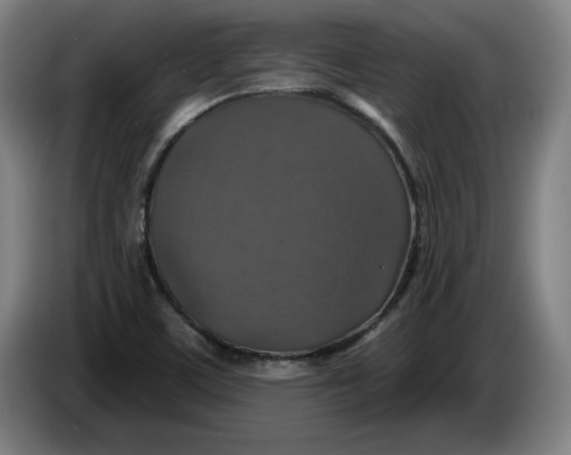 X0000085261459200703301822