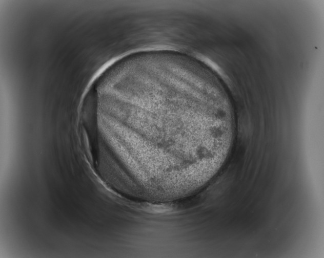 X0000085261460200703301822