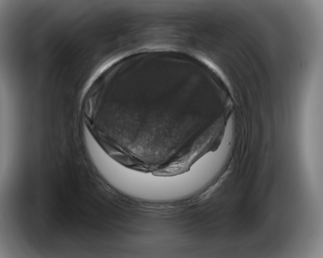 X0000085261461200703301822