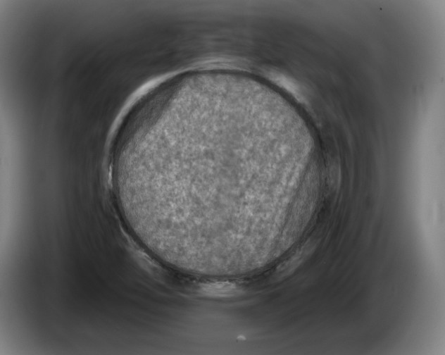 X0000085261462200703301822