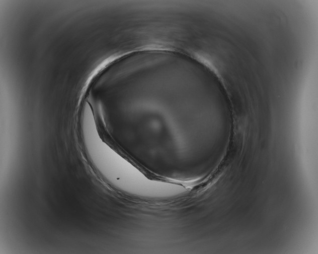 X0000085261463200703301822