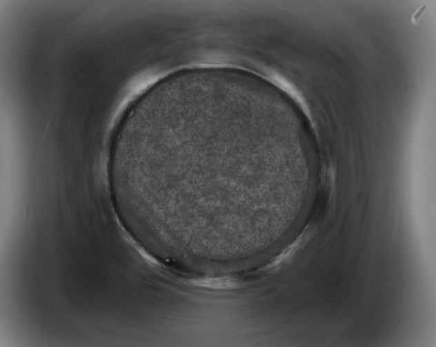 X0000085261464200703301822