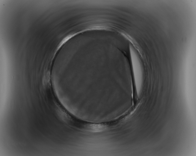 X0000085261465200703301822