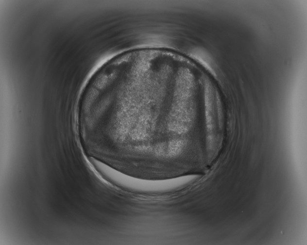 X0000085261468200703301822