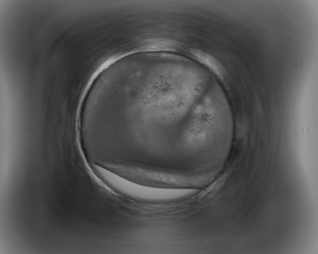 X0000085261471200703301822