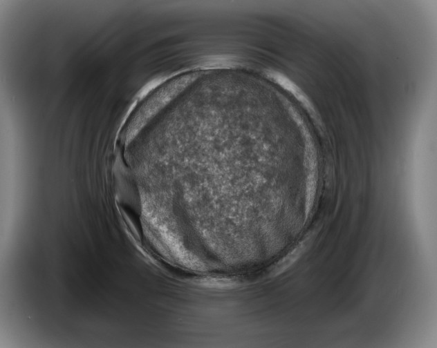 X0000085261473200703301822