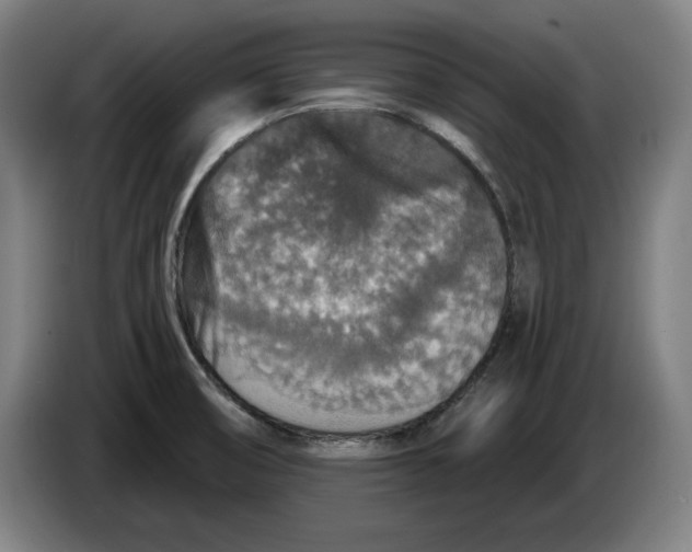 X0000085261474200703301822