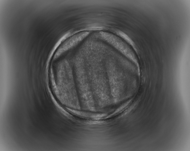 X0000085261475200703301822