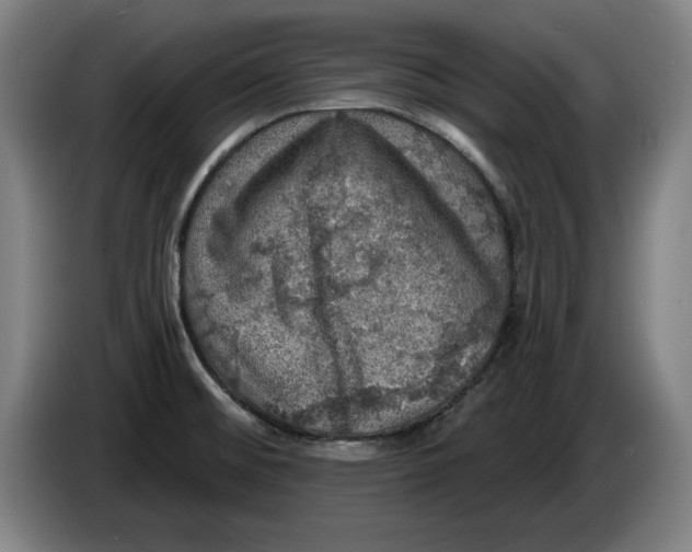 X0000085261476200703301822