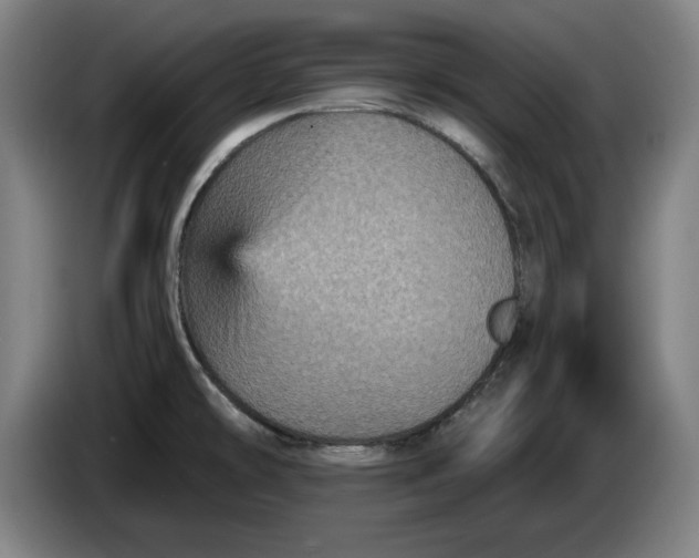 X0000085261478200703301822