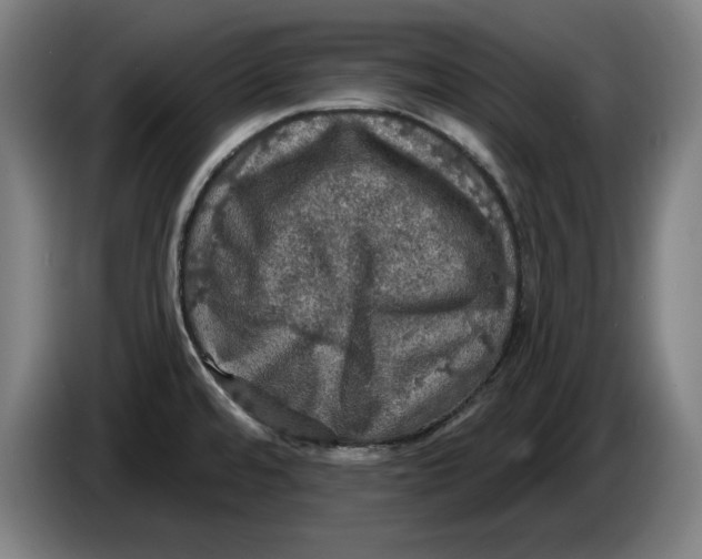 X0000085261480200703301822