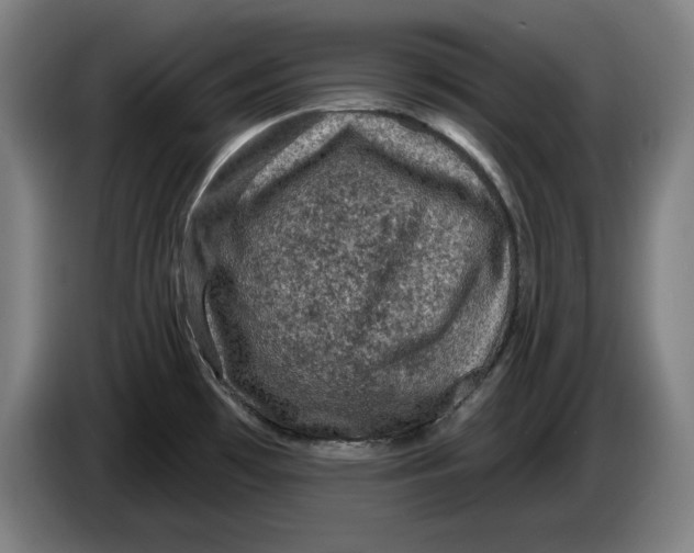 X0000085261481200703301822