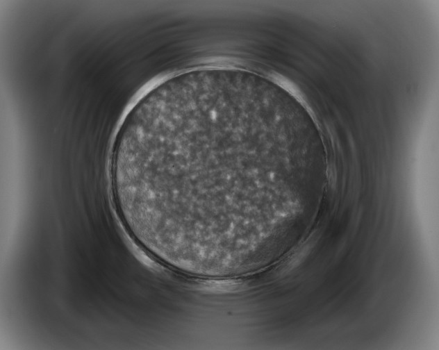 X0000085261482200703301822