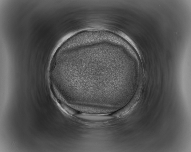 X0000085261485200703301822