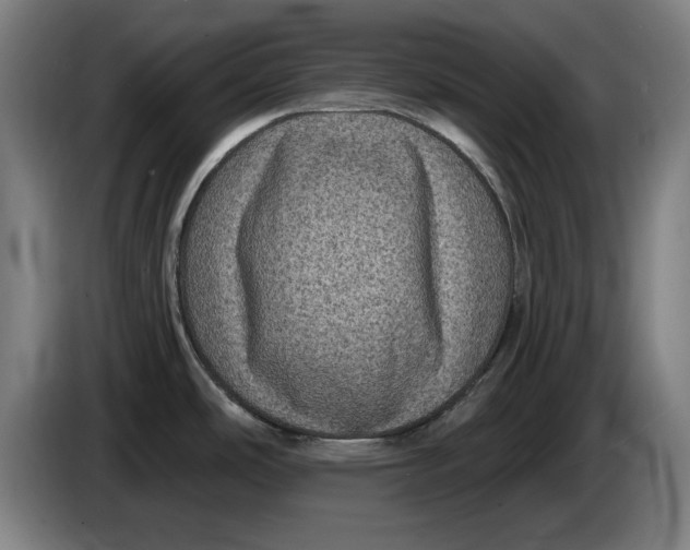 X0000085261486200703301822