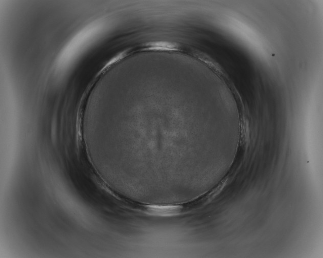 X0000085261487200703301822