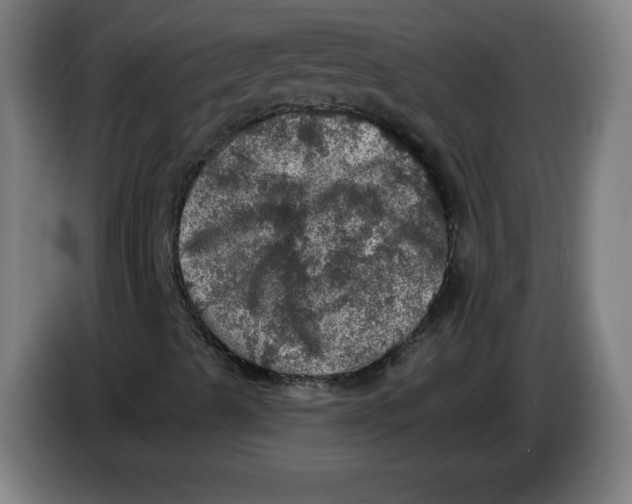 X0000085261489200703301821