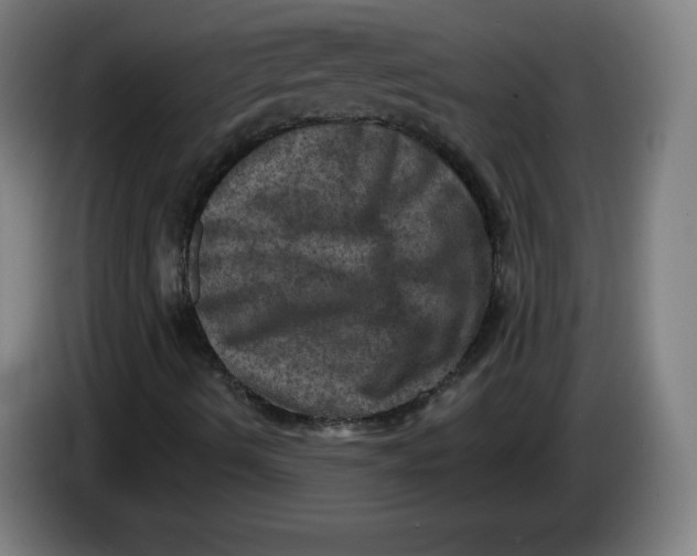 X0000085261490200703301821