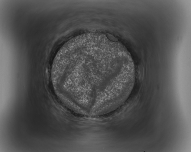 X0000085261493200703301821