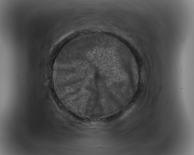 X0000085261494200703301821