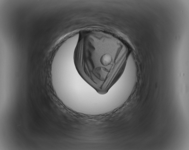 X0000085261496200703301821