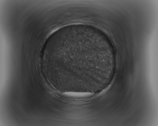 X0000085261497200703301821