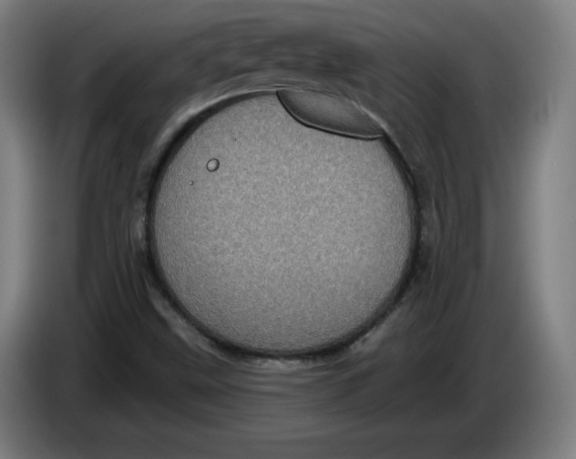 X0000085261499200703301821