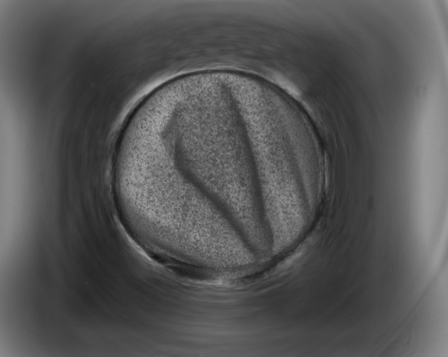 X0000085261500200703301821