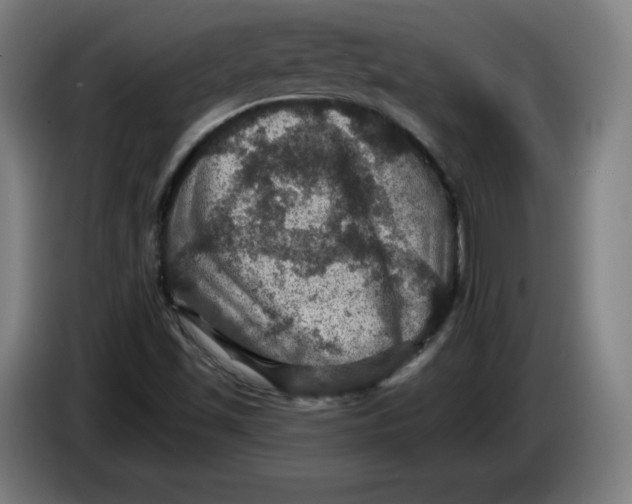 X0000085261501200703301821