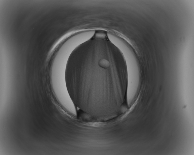 X0000085261502200703301821