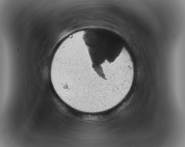 X0000085261505200703301821