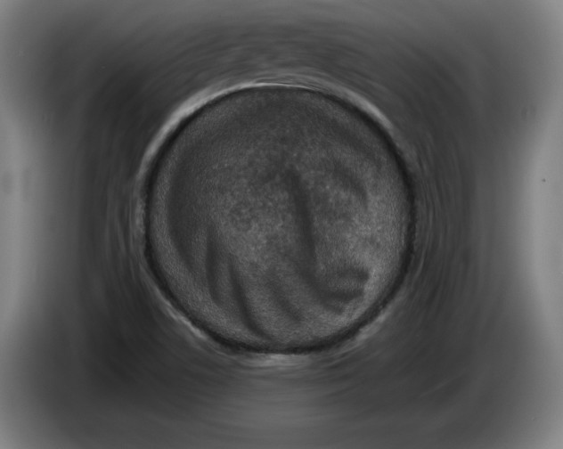 X0000085261506200703301821