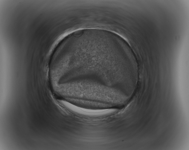 X0000085261507200703301821