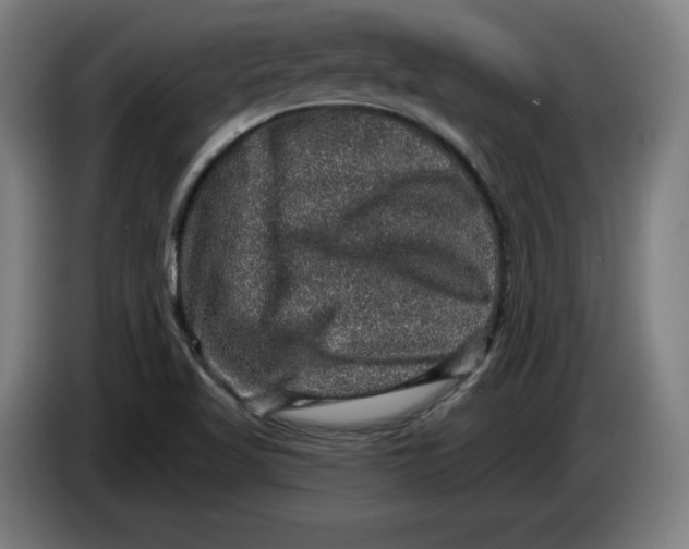 X0000085261509200703301821