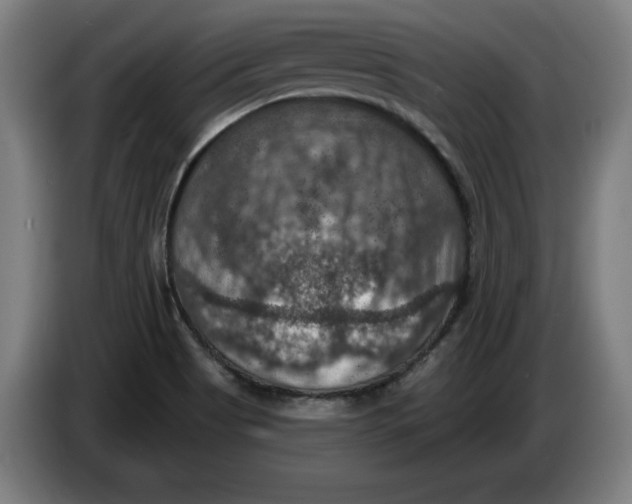 X0000085261513200703301821