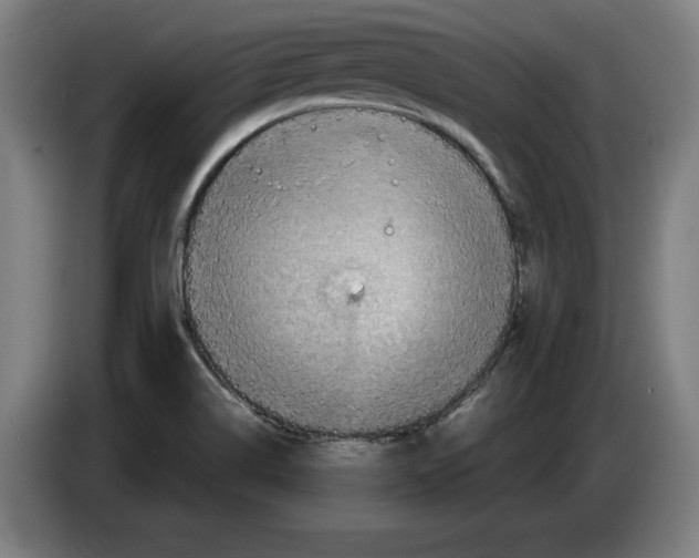 X0000085261514200703301821