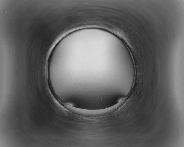 X0000085261516200703301821