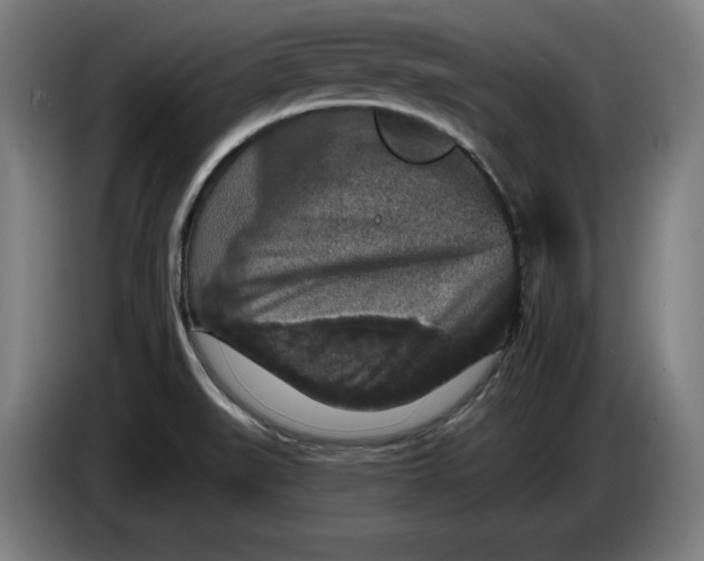 X0000085261519200703301821