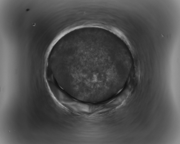 X0000085261520200703301821