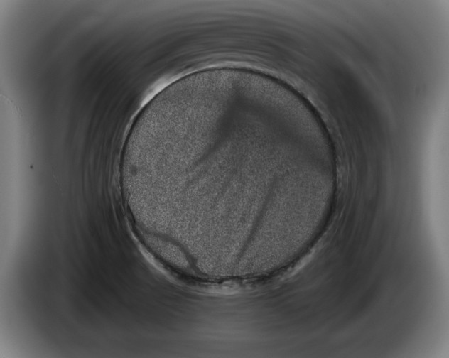 X0000085261521200703301821