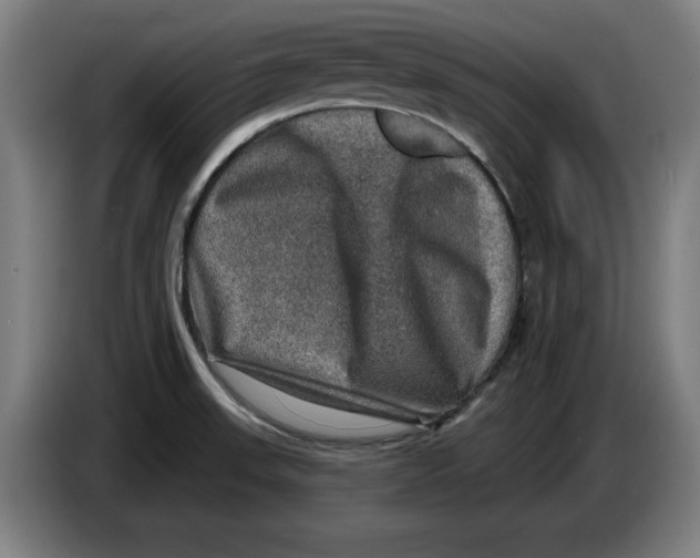 X0000085261523200703301821