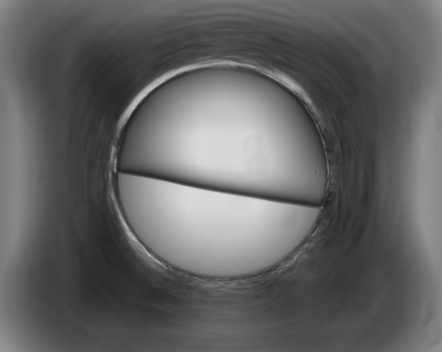 X0000085261524200703301821