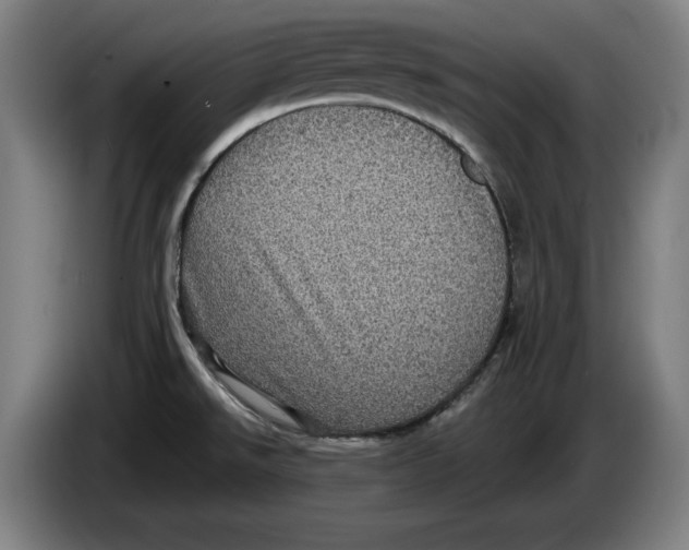 X0000085261526200703301821